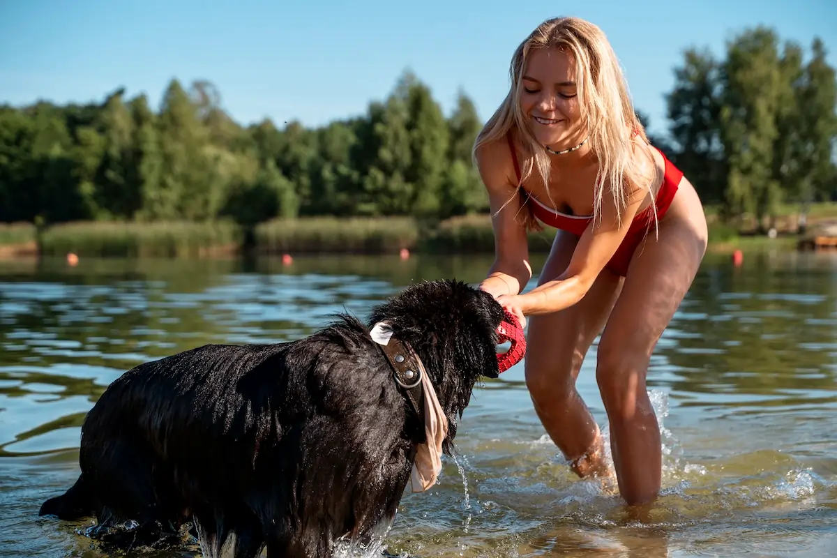 Plaża dla psów nad jeziorem w Krainie Dobrej Energii w Jezierzanach koło Legnicy